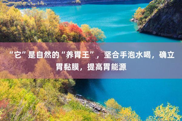 “它”是自然的“养胃王”，坚合手泡水喝，确立胃黏膜，提高胃能源