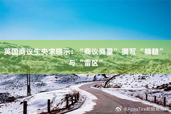 英国商议生央求晓示：“商议商量” 撰写 “精髓” 与 “雷区”