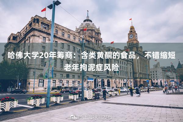 哈佛大学20年筹商：含类黄酮的食品，不错缩短老年拘泥症风险